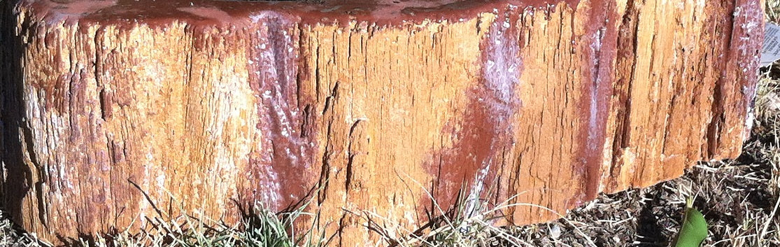 Concrete Sink Molds - Petrified Wood Sink Designs