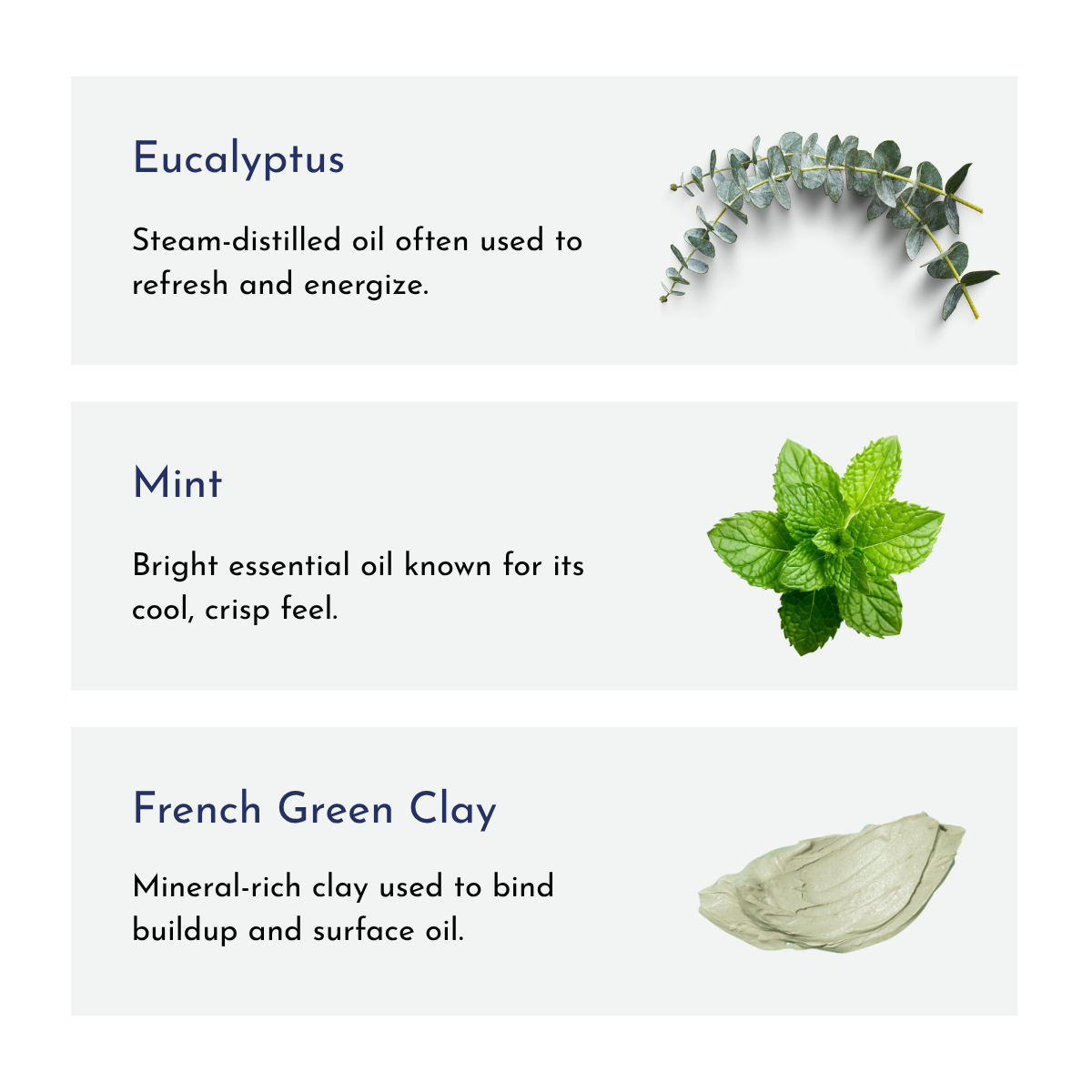 Eucalyptus & Mint